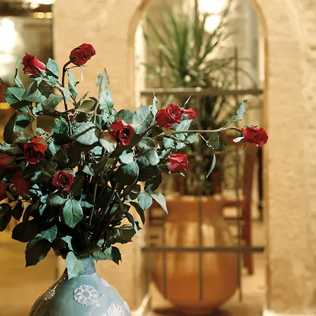 酒店 狮子座酒店 罗希姆诺