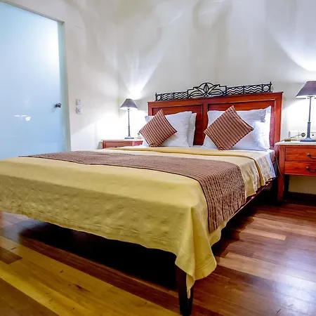 狮子座酒店 酒店