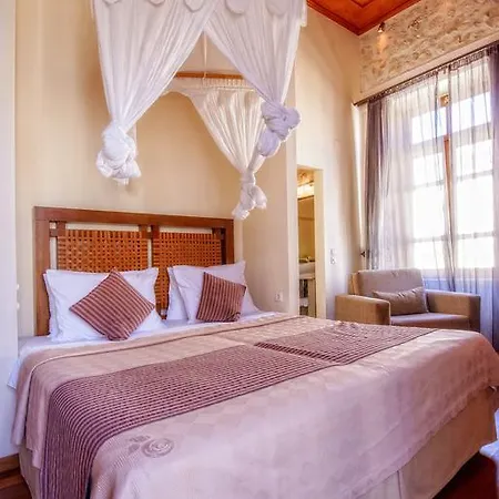 狮子座酒店 酒店 3*