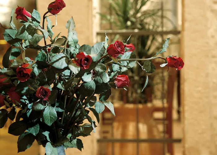 Hotel Leo Rethymno (Crete)